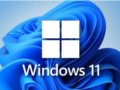 Win11רҵ���רҵ����վ����ʲô����